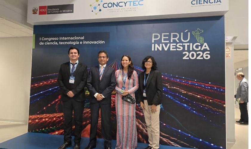Investigadores transforman conchas de abanico en asfalto resistente para carreteras 