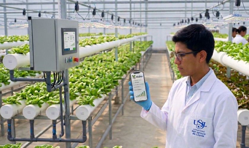 Estudiantes de la USIL ganan primer lugar en concurso de Harvard con app hidropónica 