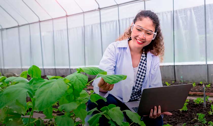 USIL lanza carrera para impulsar la agroindustria y la agroexportación
