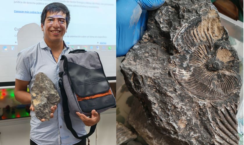 El autor muestra un fósil de amonite