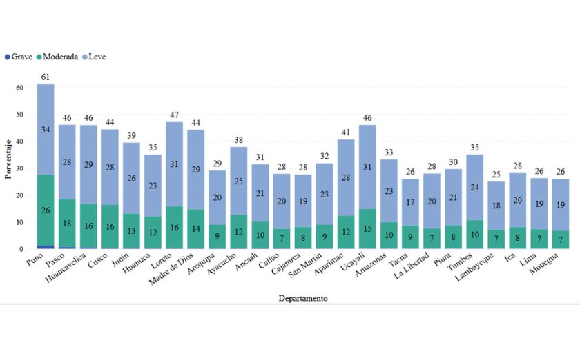 Anemia infantil en el Perú y el rol de las políticas públicas 