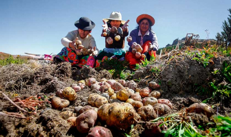 USIL Agricultura regenerativa: fortalecer nuestra biodiversidad