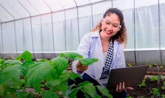 USIL lanza carrera para impulsar la agroindustria y la agroexportación