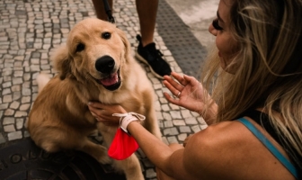 Sismo en Lima: 6 de cada 10 limeños priorizarían a sus mascotas al evacuar